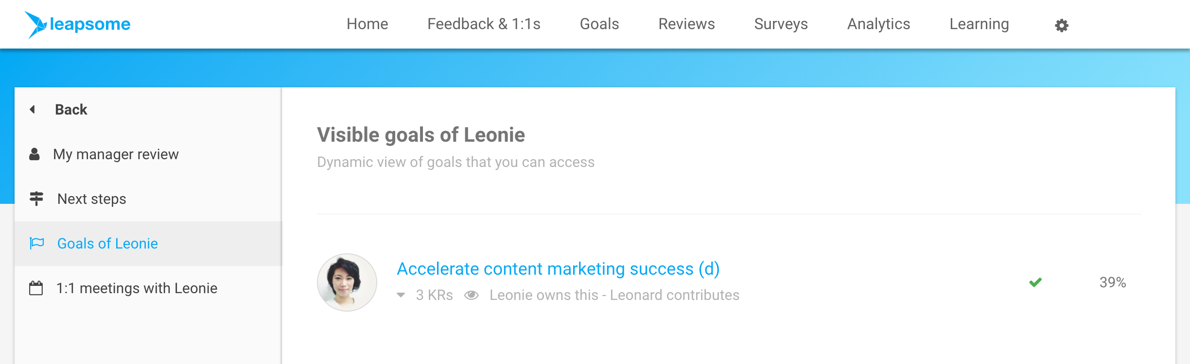 ReviewsContextGoalsMeetings.png